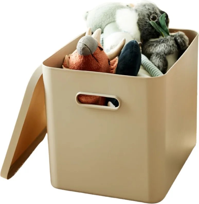 Rotho Úložný box, rovný s víkem, 27l, béžová ALBU LIGHT, 37x29x30