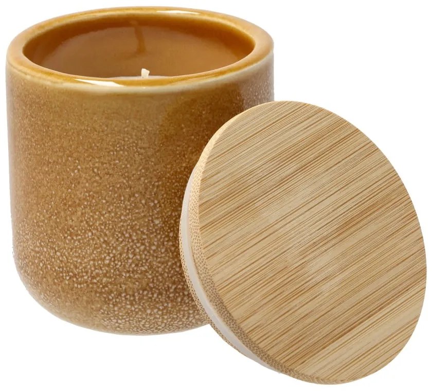 Vonná sviečka doba horenia 30 h Iris Spicy Sandalwood – Villa Collection