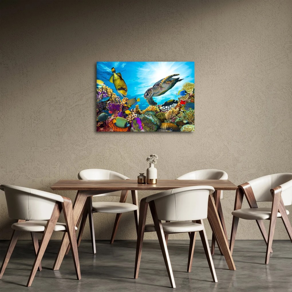 Obraz koralového útesu (70x50 cm)