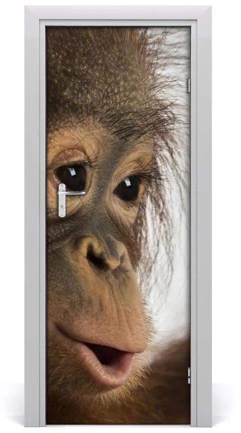 Samolepiace fototapety na dvere mladý orangutan 95x205 cm