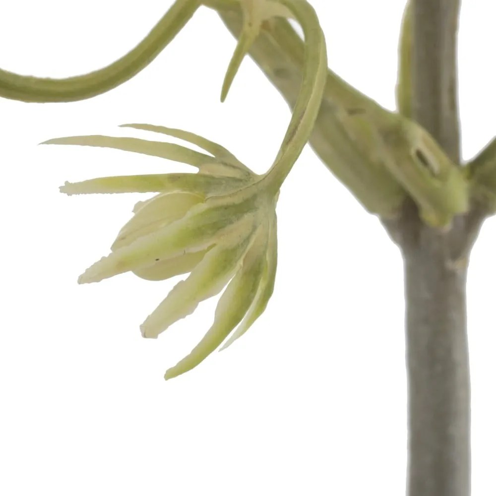 Umelá vetvička (výška 55 cm) – Ixia