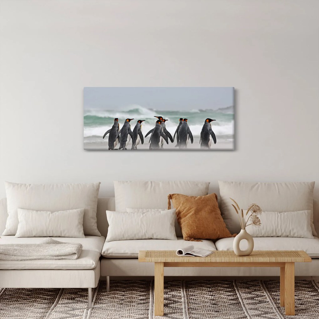 Obraz tučniakov pri oceáne (120x50 cm)