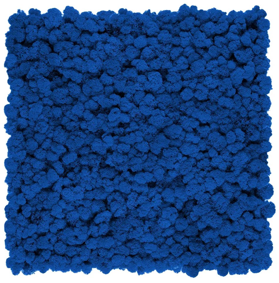 Stabilizovaný fínsky (sobí) mach 250g- modrý