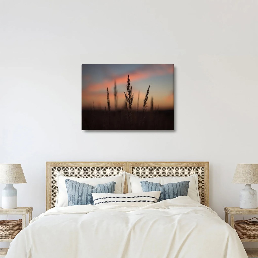 Obraz - Silueta rastliny (70x50 cm)