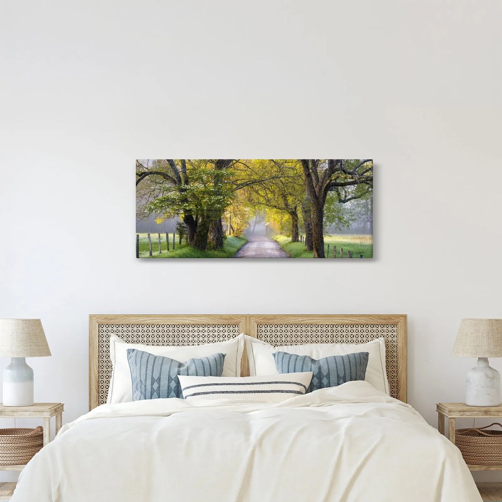 Obraz - Smoky Mountains, Gatlinburg, USA (120x50 cm)