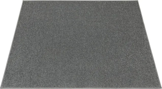 Koberec  LAGO TERMO 36889 sivý