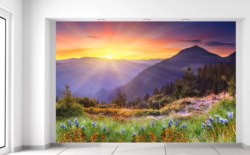 Gario Fototapeta Lúka v horách Materiál: Samolepiaca, Rozmery: 536 x 240 cm