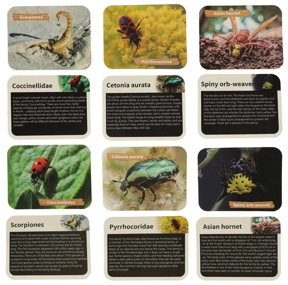 KIK Vzdelávacia súprava pre deti - Archeologické vykopávky: Hmyz v jantári 6+