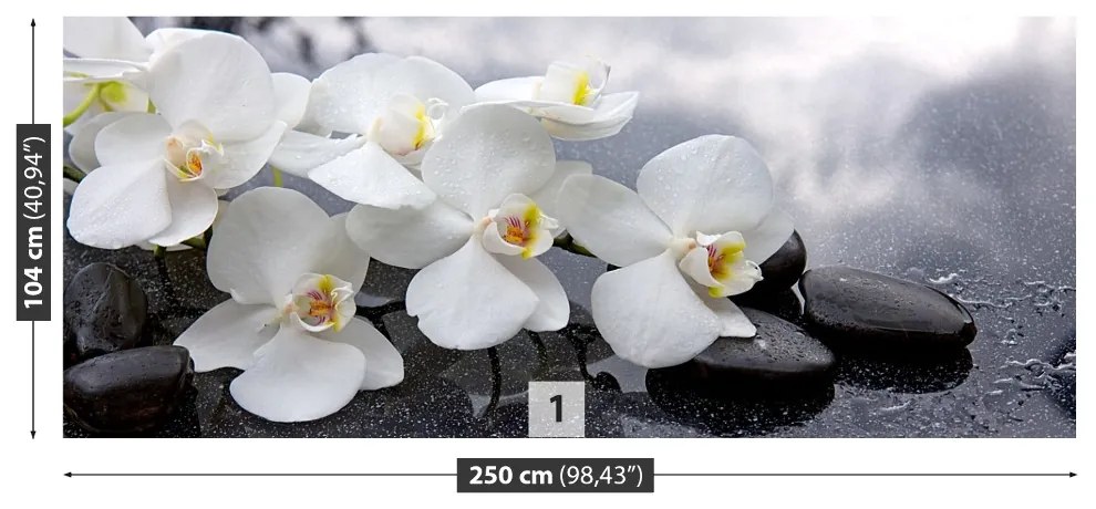 Fototapeta Vliesová Orchidea kamene 152x104 cm