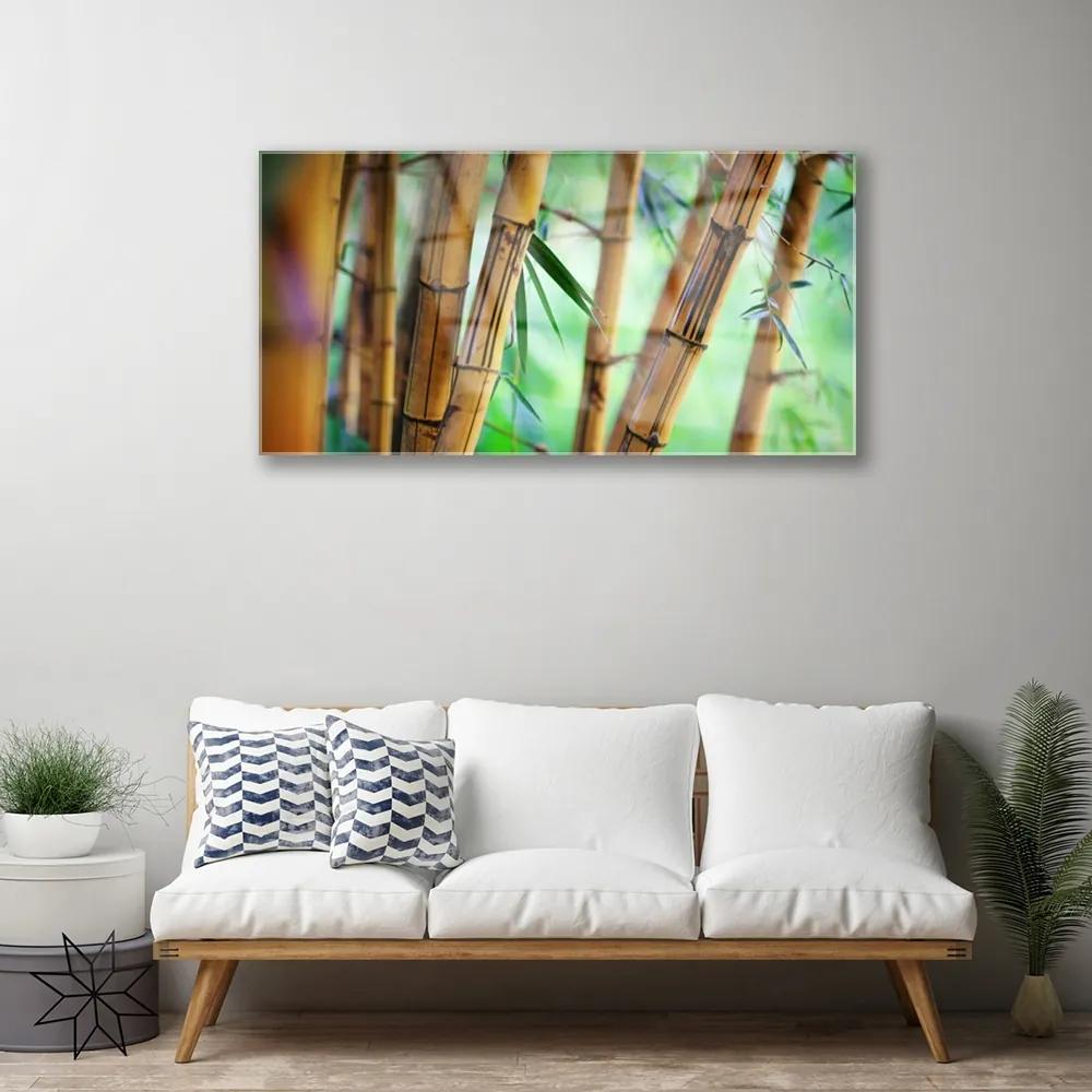 Obraz na skle Bambus príroda rastlina 120x60 cm
