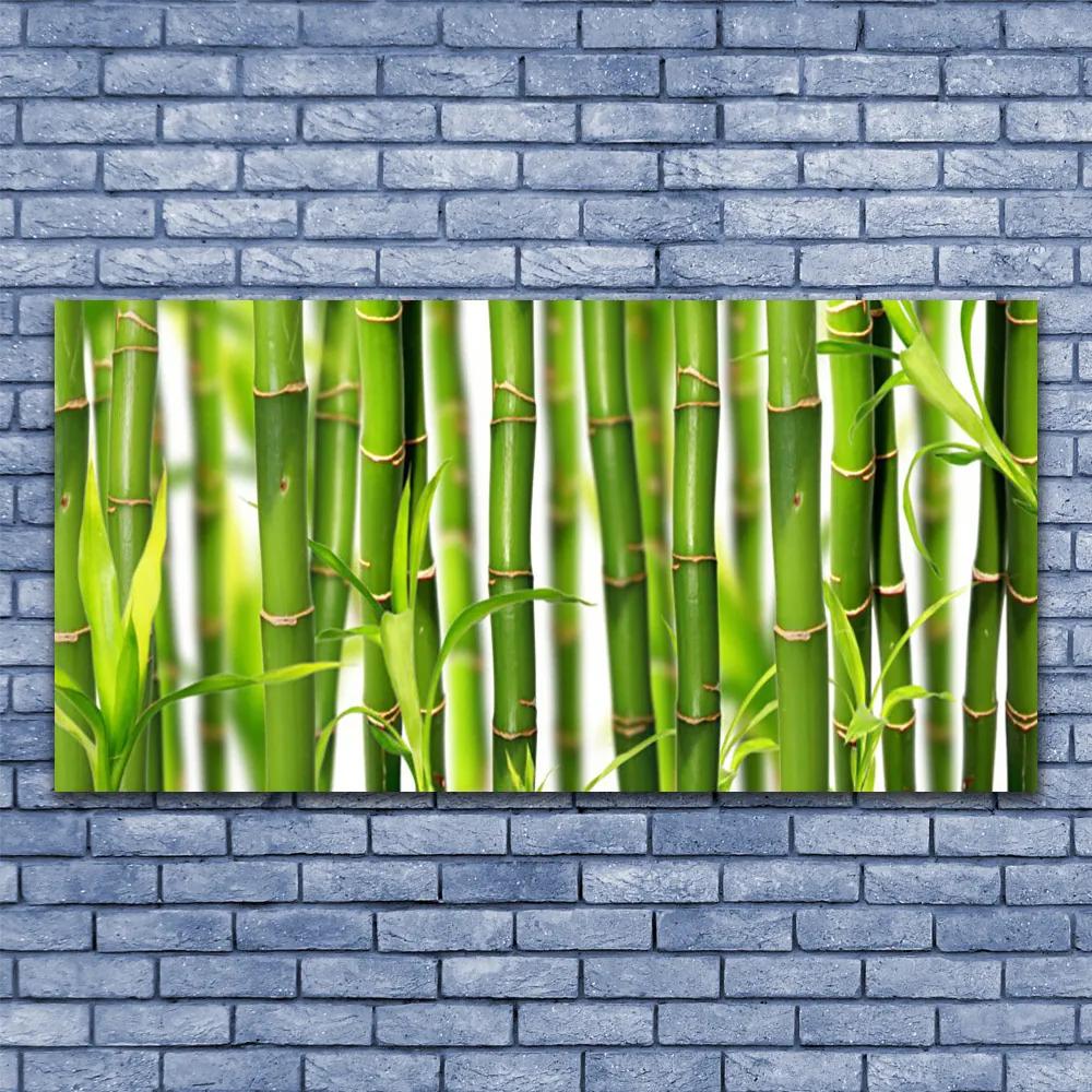 Obraz plexi Bambusové výhonky listy bambus 120x60 cm