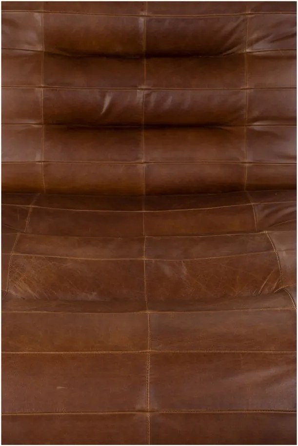 Hnedé kožené kreslo Wyatt – Dutchbone