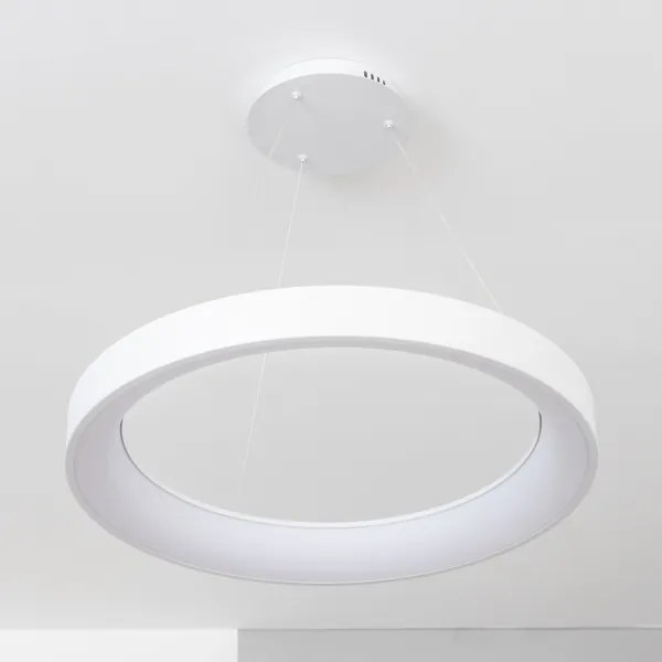 Brilagi - LED stmievateľný luster na lanku FALCON II LED/99W/230V priemer 60 cm biela + diaľkové ovládanie