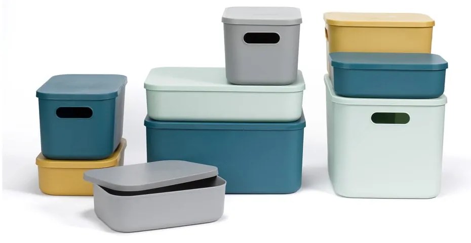 Sivý plastový úložný box s vekom 24x18x8 cm – Homéa