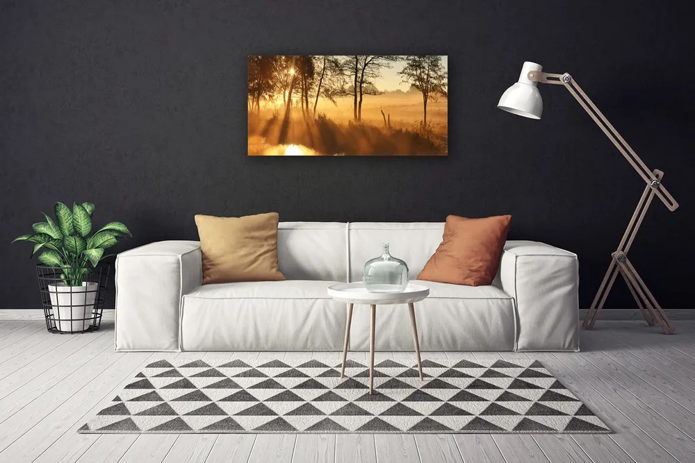 Obraz na plátne Stromy príroda 120x60 cm