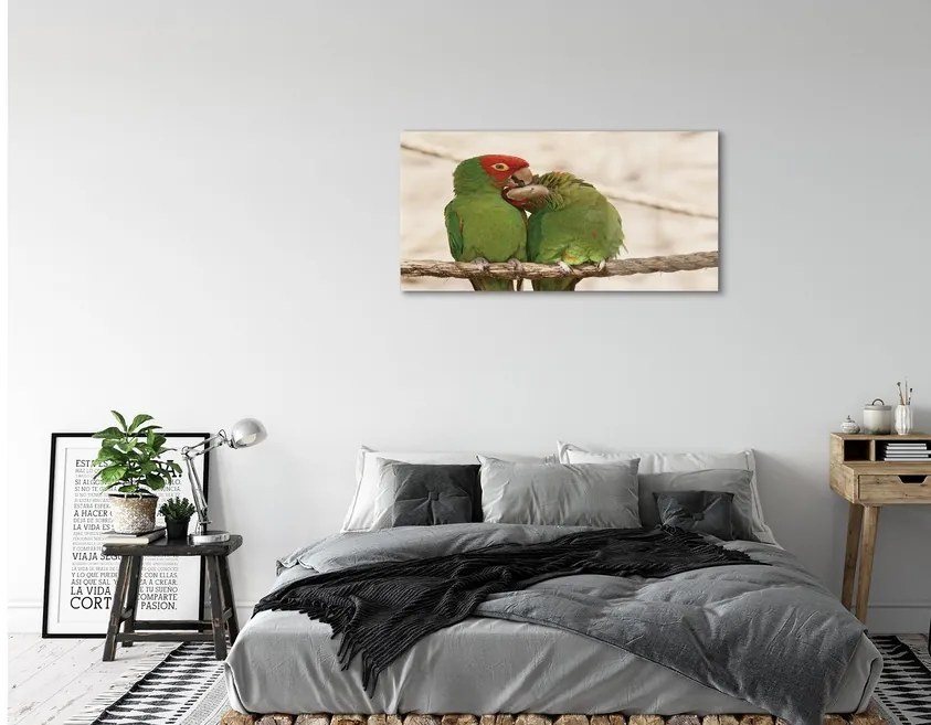 Sklenený obraz zelené papagáje 125x50 cm