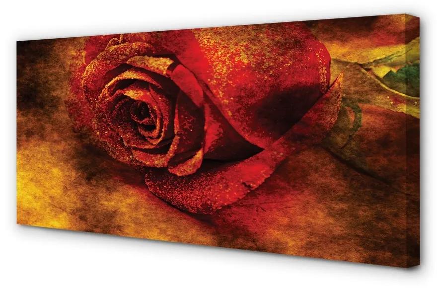 Obraz canvas rose picture 120x60 cm