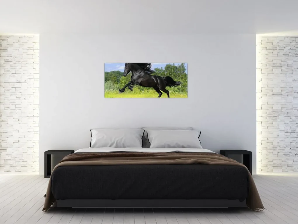 Obraz - Kôň s vzdušnou hrivou (120x50 cm)