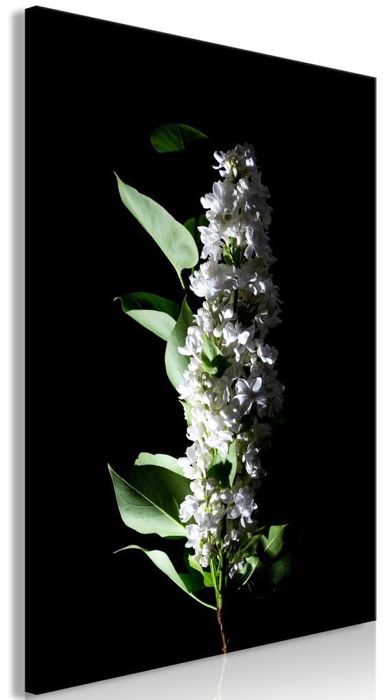 Artgeist Obraz - White Lilacs (1 Part) Vertical Veľkosť: 20x30, Verzia: Na talianskom plátne