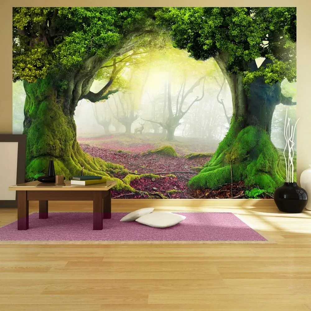 Fototapeta - Enchanted forest 400x280