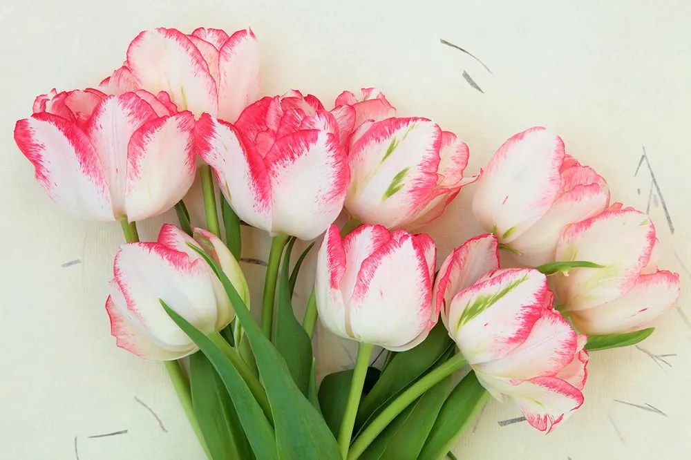 Jedinečná samolepiaca fototapeta romantické tulipány