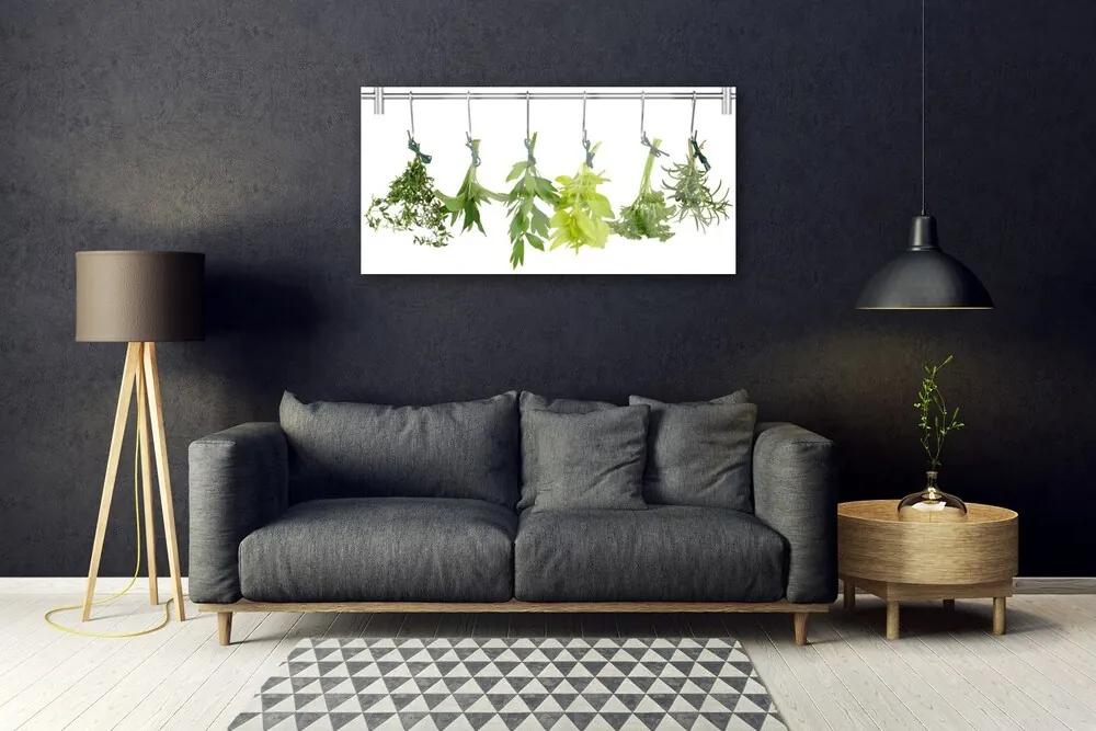 Obraz plexi Listy príroda byliny 100x50 cm
