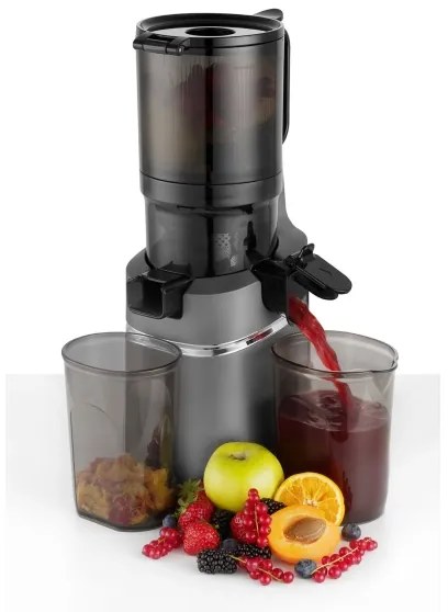 Concept LO7120 - Šnekový odšťavňovač JUICY 250W/230V šedá