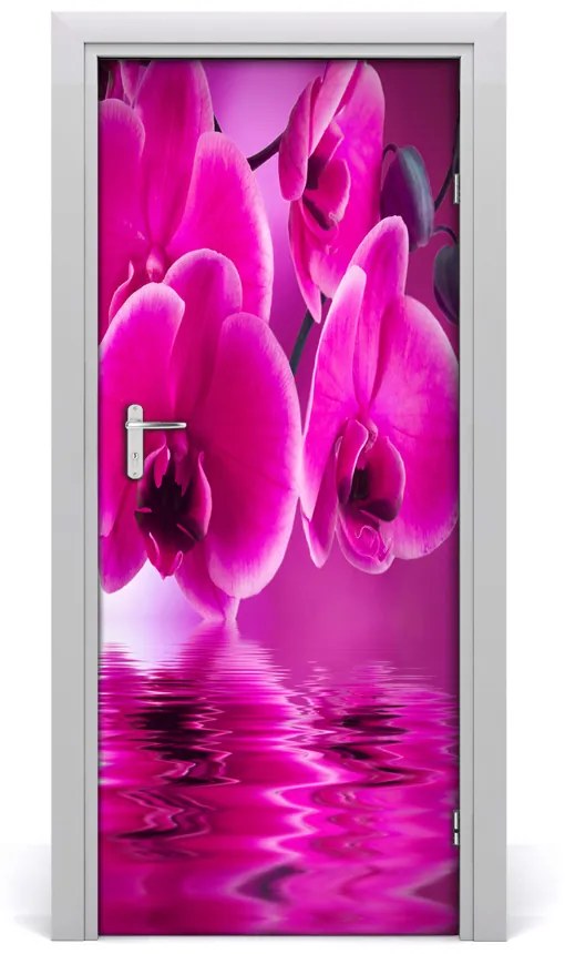 Fototapeta samolepiace ružová orchidea 75x205 cm