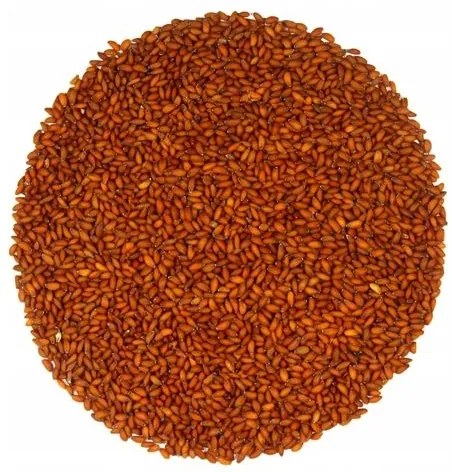 Bestent Žerucha na nakličovanie 5g vzorka