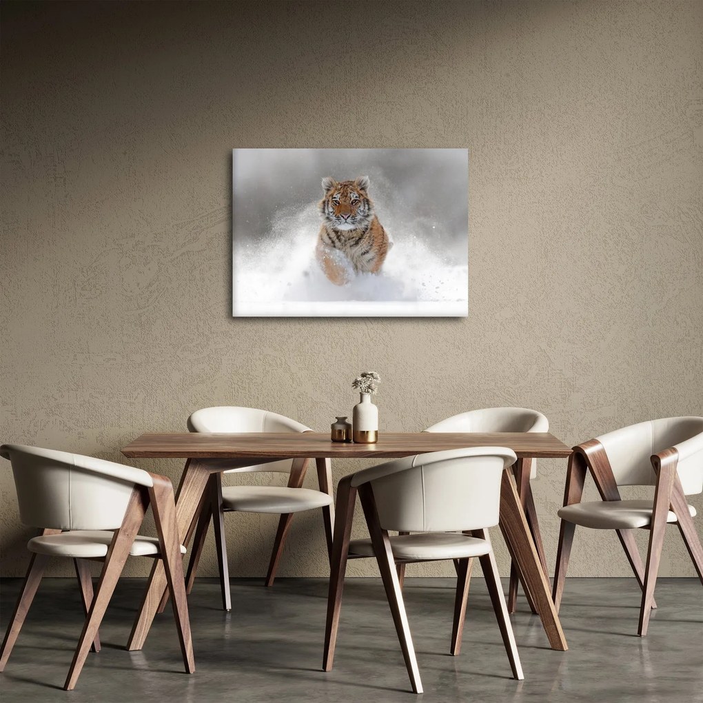 Obraz bežiaceho tigra v snehu (70x50 cm)