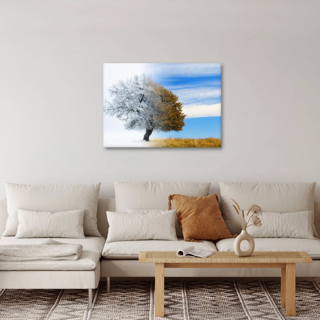 Obraz - Zmena ročného obdobia (70x50 cm)