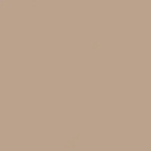 Obklad Rako Color One béžovohnědá 20x20 cm lesk WAA1N301.1