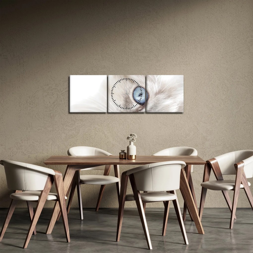 Obraz - Mačka s modrými očami (s hodinami) (90x30 cm)
