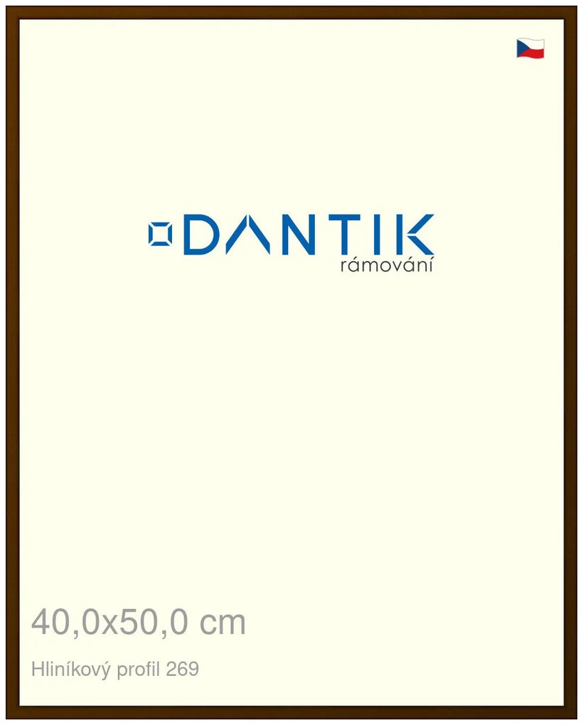 DANTIK rám na obraz 40x50 | ALU Hnědá umbra broušená (Plexi Čiré)