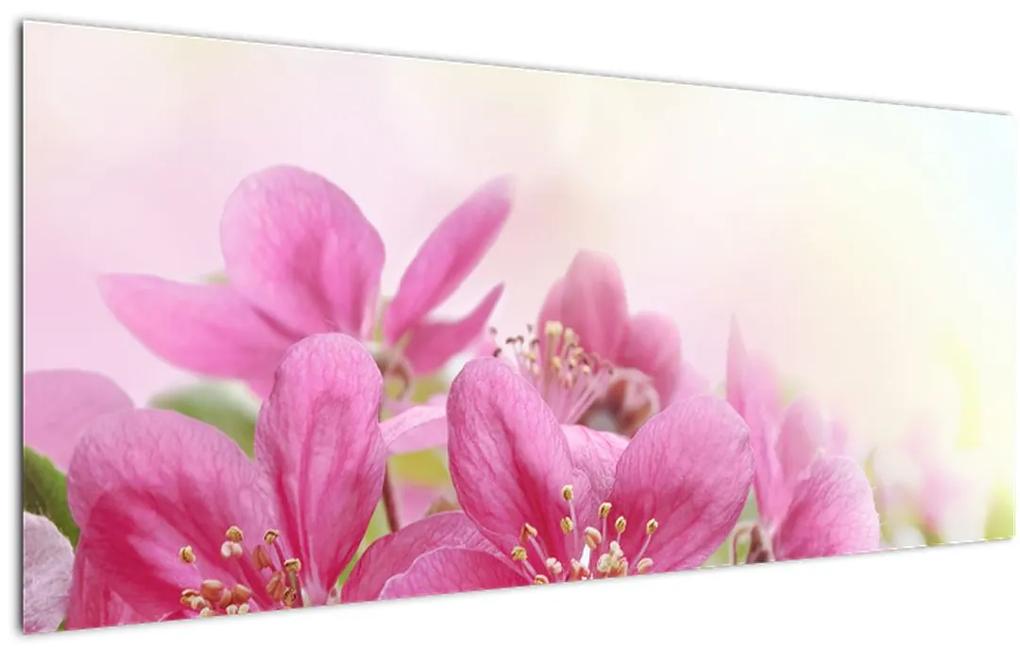 Obraz - Ružové kvety (120x50 cm)
