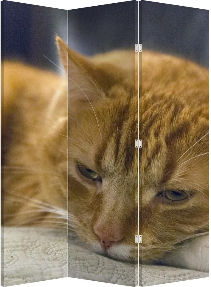 Paraván - Mačka (126x170 cm)