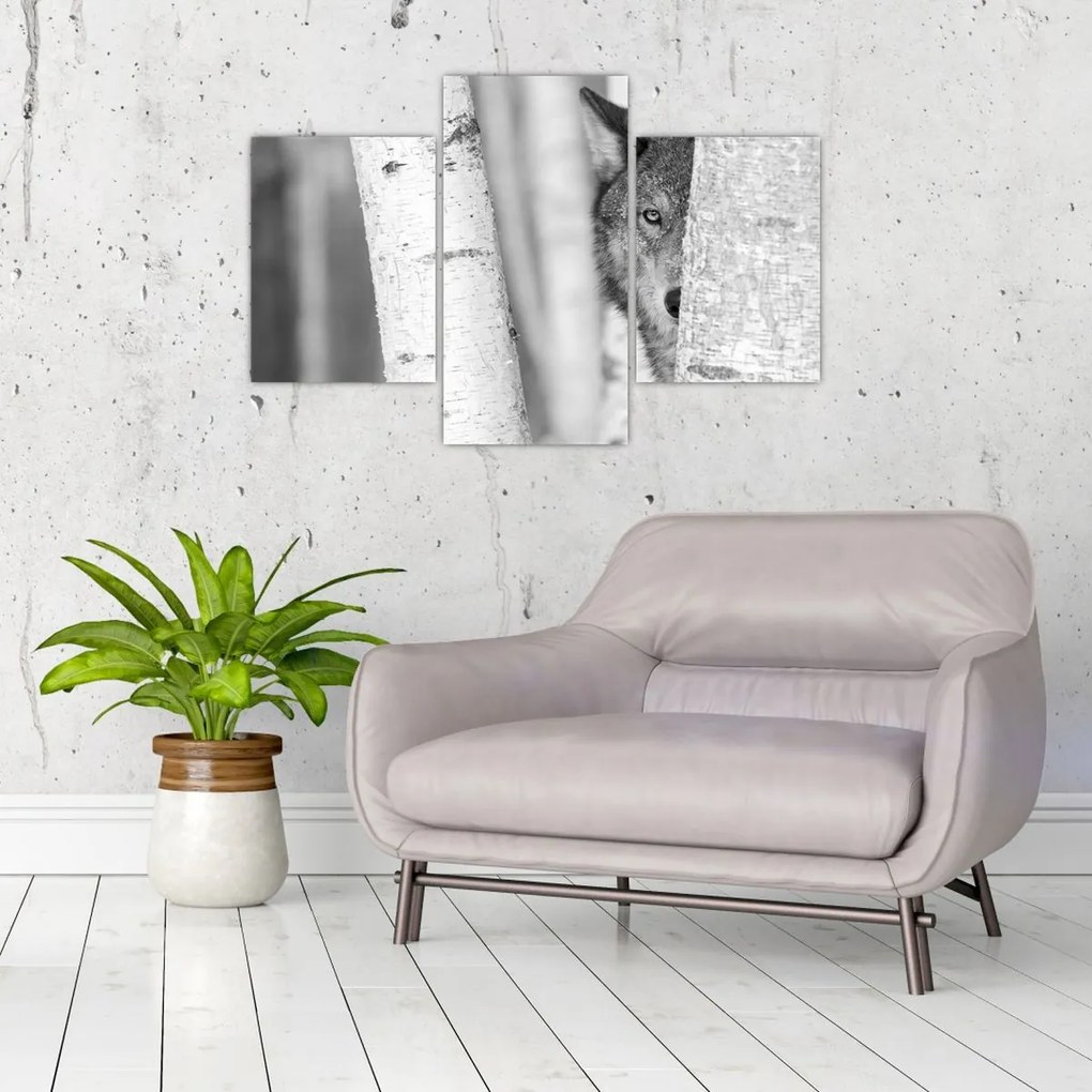 Obraz - Vlk v lese (90x60 cm)
