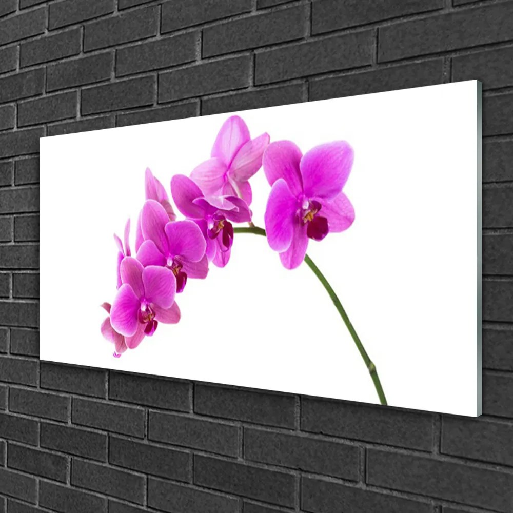 Skleneny obraz Vstavač kvet orchidea 125x50 cm