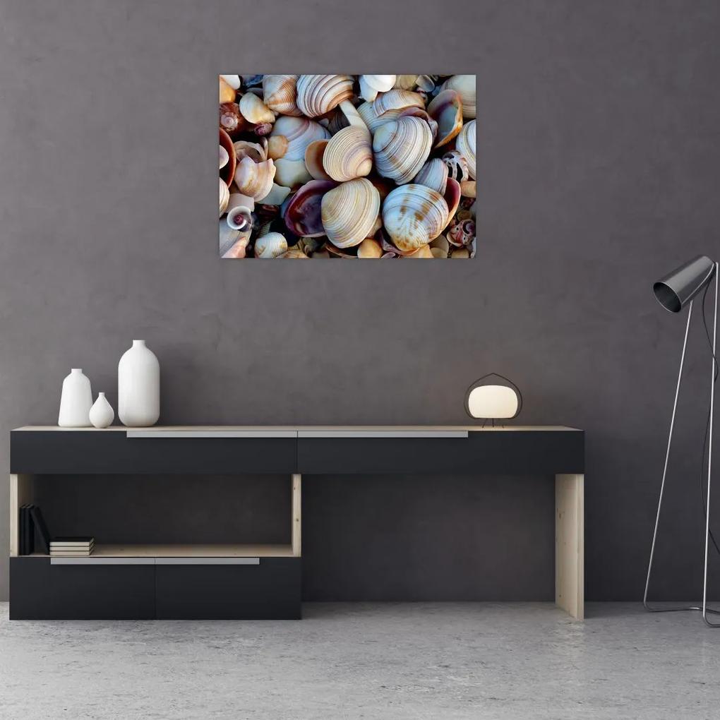 Sklenený obraz mušlí (70x50 cm)