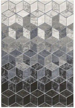 Koberce Breno Kusový koberec ARGENTUM 63488/6656, viacfarebná,160 x 230 cm