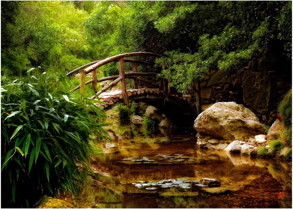 Sklenený obraz - Most cez riečku (70x50 cm)