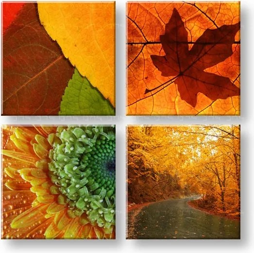 Obraz na stenu 50 shades of yellow 4 dielny XOBKOL24E42