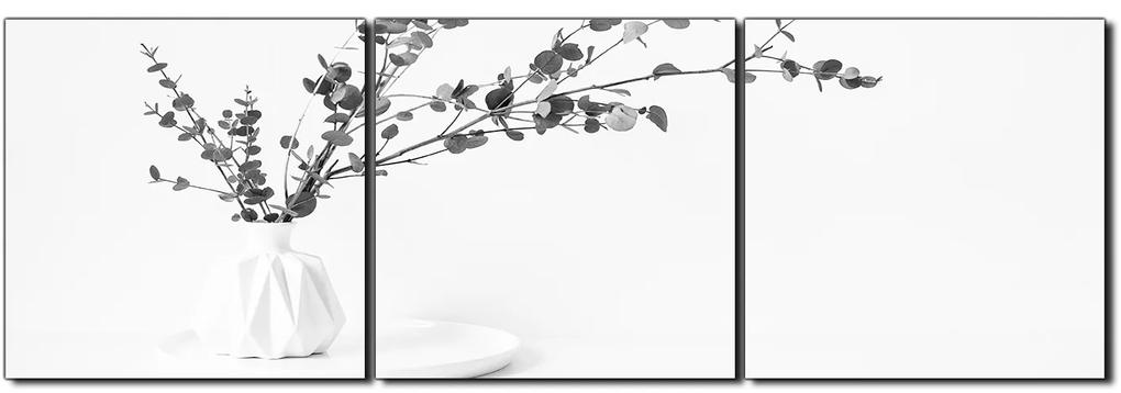 Obraz na plátne - Vetva eukalyptu v bielej váze na bielom pozadí - panoráma 5272QB (150x50 cm)