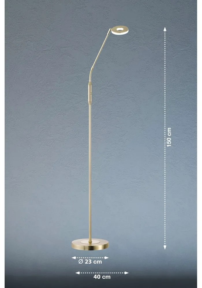 LED stmievateľná stojacia lampa v zlatej farbe (výška 150 cm) Dent – Fischer & Honsel