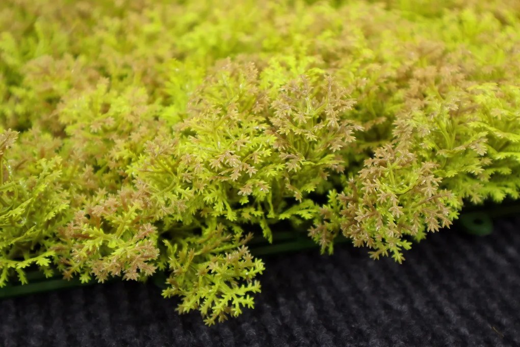 Umelý rastlinný panel KATE MOSS 50 x 50 cm - Panel 50x50 Europe Grass