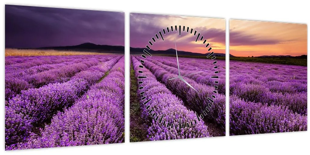 Obraz - Levanduľové pole pri západe slnka (s hodinami) (90x30 cm)