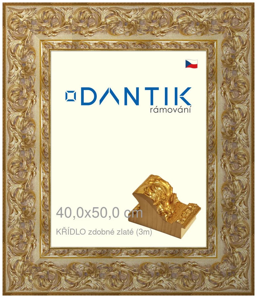 DANTIK rám na obraz 40x50 | KŘÍDLO zdobné zlaté (Sklo Čiré)