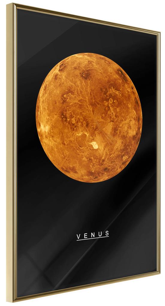 Artgeist Plagát - Venus [Poster] Veľkosť: 40x60, Verzia: Zlatý rám