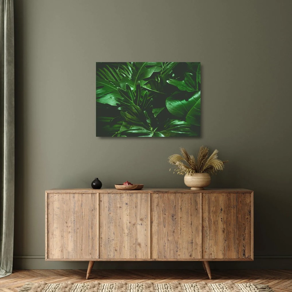 Sklenený obraz - Palmové listy (70x50 cm)