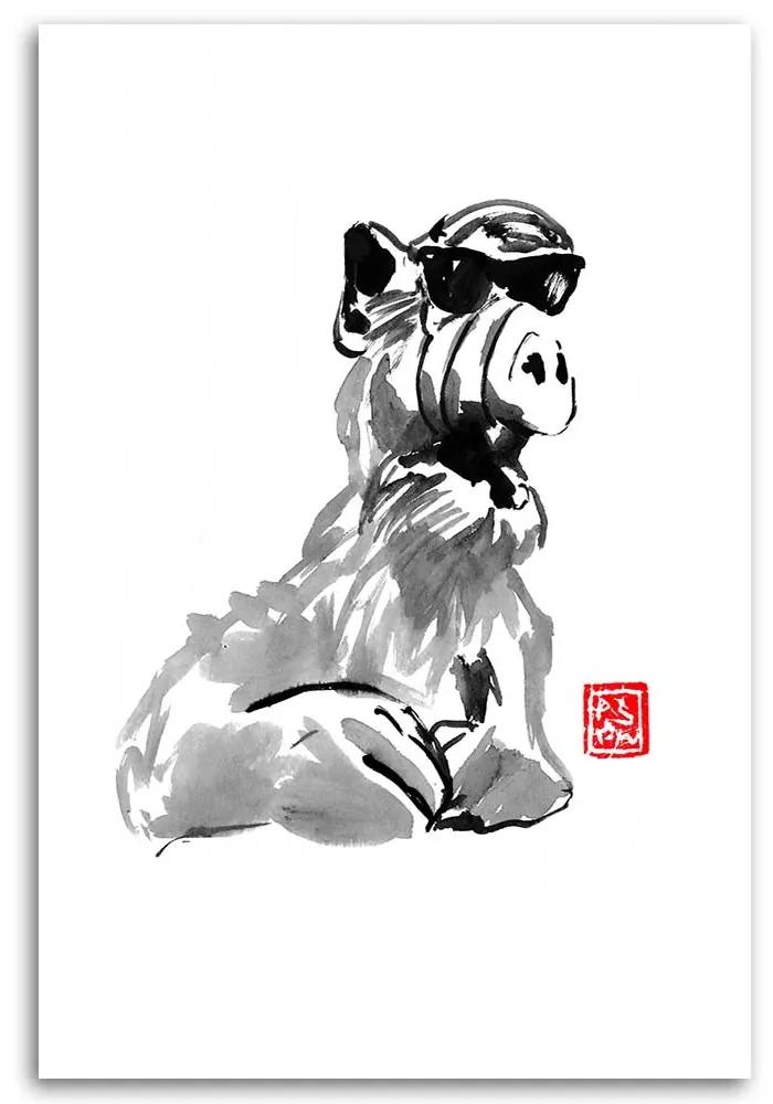 Gario Obraz na plátne Alf s okuliarmi - Péchane Rozmery: 40 x 60 cm